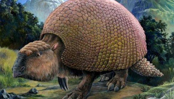 Caparazón hallado en Argentina pertenecía a armadillo gigante
