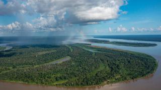 Destacan acuerdo mundial para revertir la pérdida de naturaleza en 2030