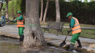 Municipalidad de Jesús María inicia recuperación de áreas verdes del Campo de Marte | FOTOS