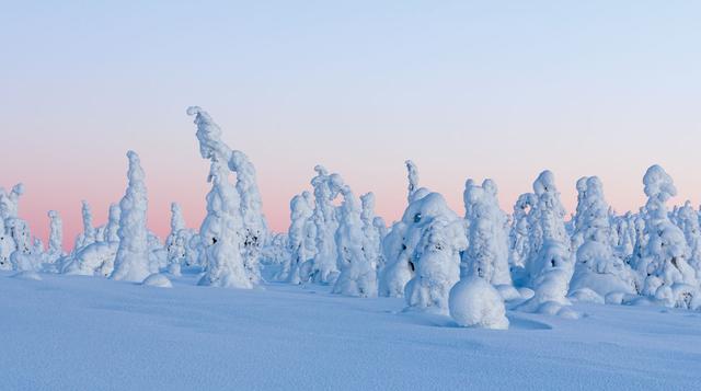 Riisitunturi: conoce este bello bosque de nieve en Finlandia - 2