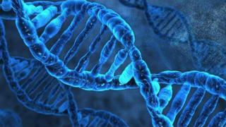 Nuevo método permite describir nuevos genes presentes en el ADN