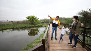 Día Mundial de los Humedales: guía para visitar los Pantanos de Villa