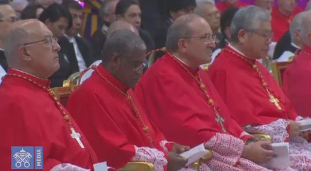 (Captura de video: Vatican News)