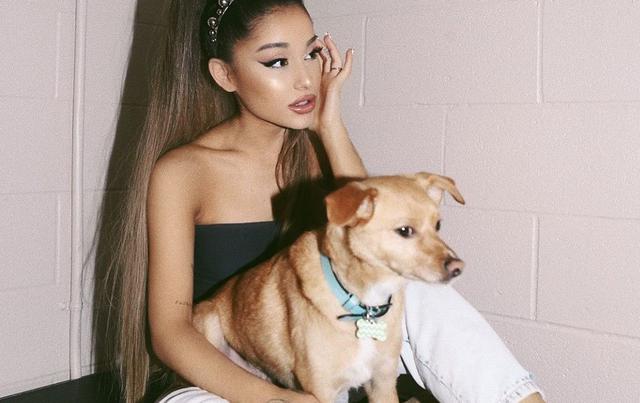Nueva publicación de Ariana Grande muestra el cariño que le tienes a los animales. (Foto: Instagram)