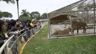 Heresi: Parque de las Leyendas debe S/. 10 mlls. en tributos