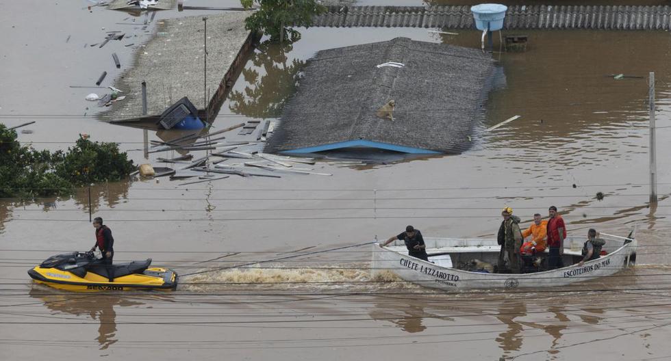 Peruvian Ambassador in Brazil Rómulo Acurio Promises Emergency Humanitarian Aid to Peruvians in Need