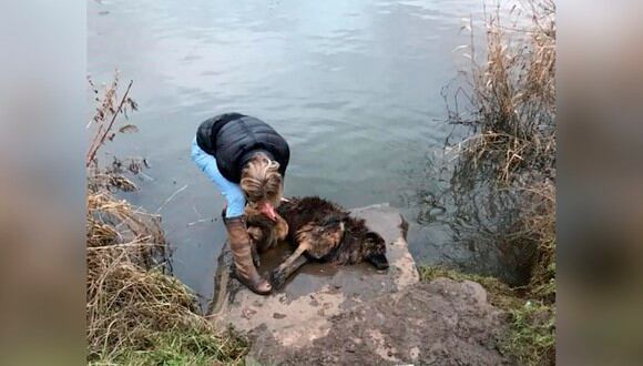 Jane Harper arriesgó su vida y logró rescatar a la indefensa Bella, que había sido atada a una enorme roca y arrojada al río.| Foto: Notts Police