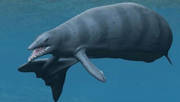 Recreación de cómo habría sido un Basilosaurus Isis. (Foto: Wikimedia)