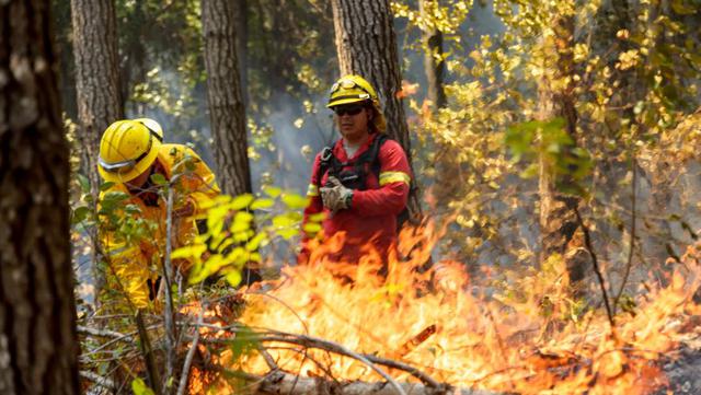 Chile | La voracidad de los incendios forestales que arrasan con la zona sur del país | FOTOS. (AFP)