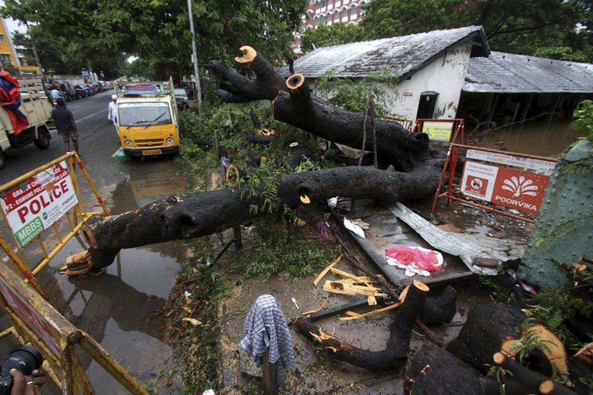 Partes de la costa sur de India estaban inundadas el jueves después de que el ciclón Nivar azotara sus litorales, causando fuertes lluvias, arrancando árboles y derribando cables de electricidad. (Foto:  AP / R. Parthibhan)