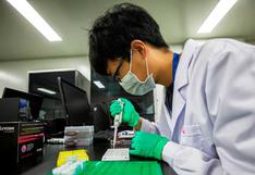 China: científicos identifican proteína relacionada con transmisión de virus a través de mosquitos