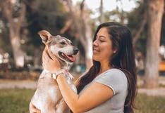 Día del Perro: 5 razones por las que adoptar un perro te hará más feliz