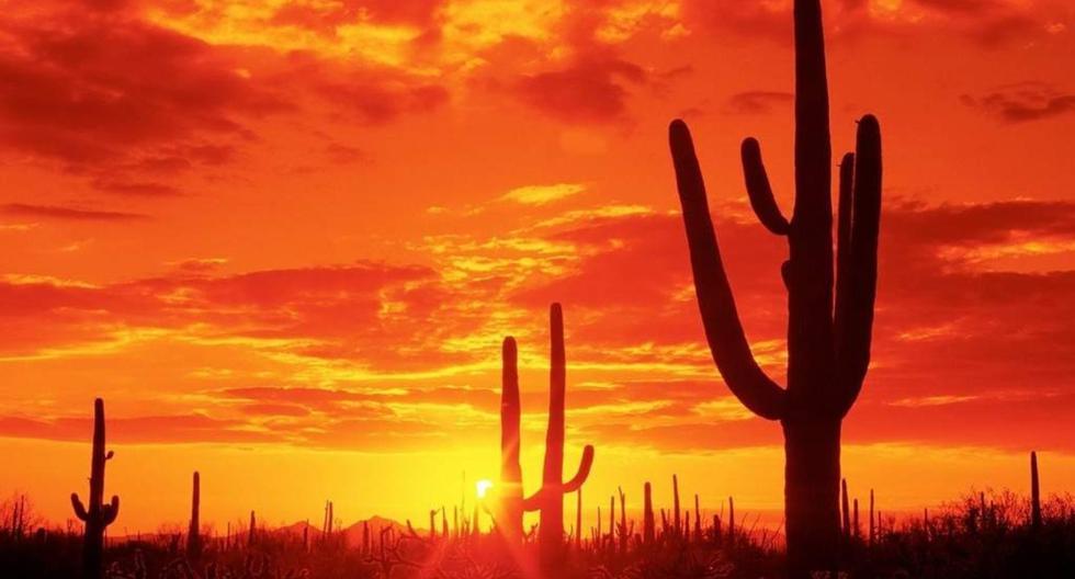 Dónde se ubica el lugar donde hace más calor en el mundo: su temperatura llega a los 80 °C