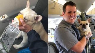 Facebook: empleados de aerolínea rompen protocolo y le ponen máscara de oxígeno a perro para salvarlo