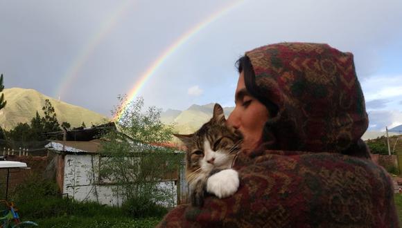 Diego Contreras (en la foto) es el empuje detrás de Mishi Wasi, el albergue para gatos en Urubamba, Cusco. “Para nosotros nunca se trató de cantidad de michis, sino de la calidad de vida de cada uno de ellos", dice. (Foto: Archivo personal)