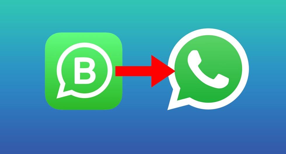 How to switch back from WhatsApp Business to regular WhatsApp without losing your chats |  data
