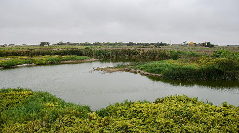 La Bocana: la belleza de una laguna olvidada - 1