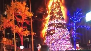 Hombre incendia el imponente árbol de Navidad que estaba frente a Fox News en Nueva York | VIDEO