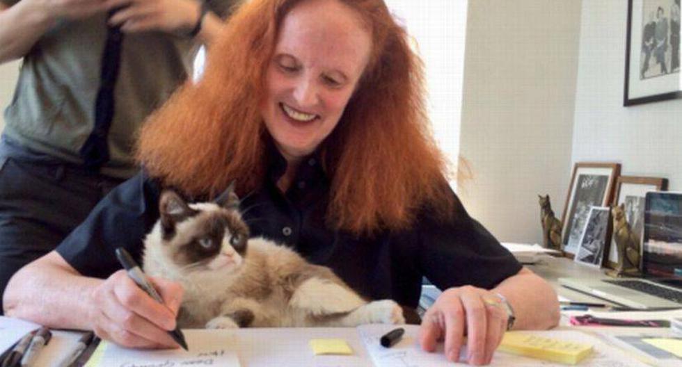 Grumpy Cat nació muy pequeña. Sufre enanismo felino. Además, trastabilla un poco cuando anda (Foto: Twitter/@RealGrumpyCat)