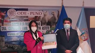Puno: proyectan reapertura gradual de frontera entre Perú y Bolivia