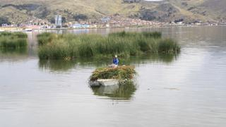 Puno: IGP advierte intensas sequías en cuencas del lago Titicaca y río Desaguadero