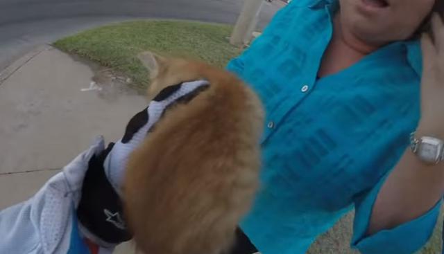 Luego entregó el pequeño felino a una señora para que por favor lo cuidara. (YouTube: BikersPost.com)