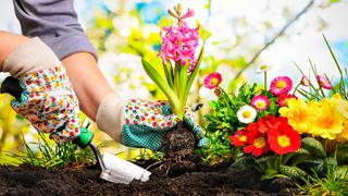 Nueve claves indispensables para cuidar tu jardín
