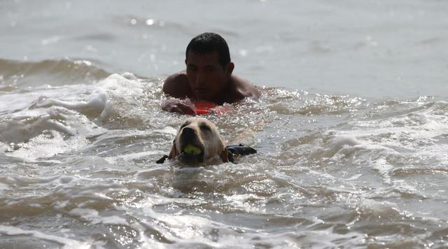 Perros salvavidas vigilan seis playas de la Costa Verde [FOTOS] - 3