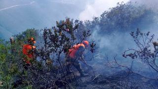 Amazonas: incendio cerca a fortaleza de Kuélap aún no ha sido controlado [FOTOS]