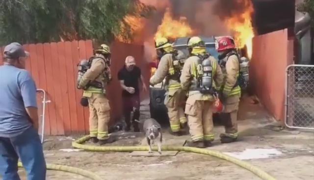 José Guzmán arriesgó su vida para salvar a su perro de un incendio y el dramático rescate es capturado en video. (Facebook / KUSI News)