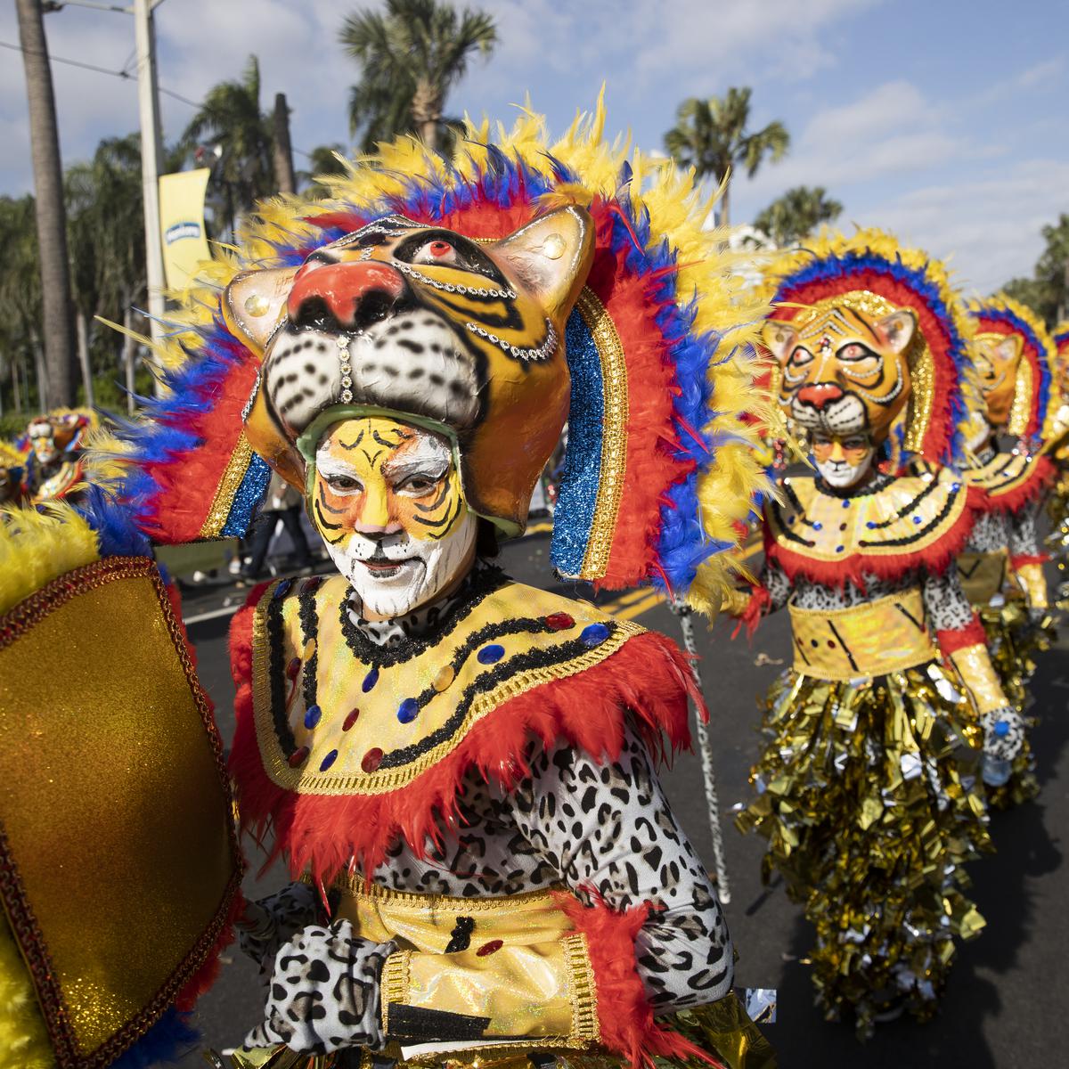 Joven en la pintura corporal como un guerrero tribal en el carnaval de La  Vega.El primer desfile de carnaval documentados en lo que ahora es la  República Dominicana Dominic Fotografía de stock 