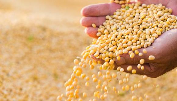 Brasil y Argentina son los mayores exportadores de soja latinoamericana a China. (Foto: Getty Images)