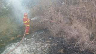 Lambayeque:se han registrado más de 30 incendios forestales en lo que va del año