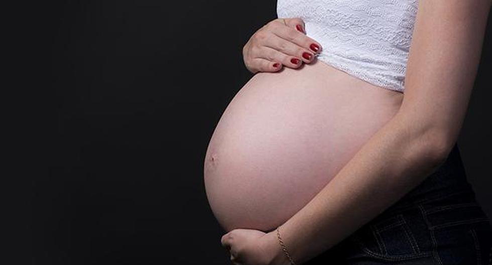 En este video podrás ver el desarrollo de un bebé dentro del vientre. (Foto: Pixabay)