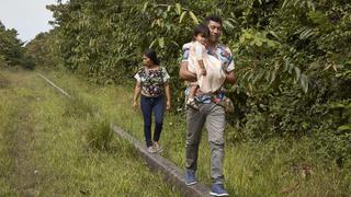 Carretera Iquitos-Saramiriza: polémica alrededor de una vía que cruza la Amazonía 