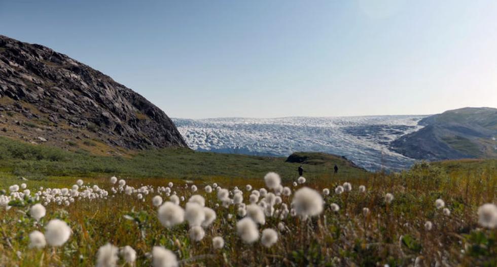 El Ártico también se está 'enverdeciendo'. (Foto: NASA)