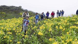 Destinos: ausente durante 60 años, la orquídea de Lima reapareció en Asia | FOTOS