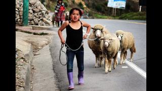 Ecuador: Chunchi, el pueblo donde se aprende a vivir sin padres