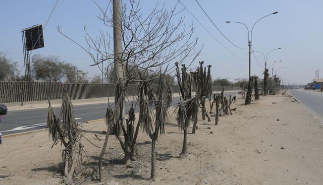 (Anthony Niño de Guzmán / El Comercio)