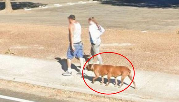 La imagen del perro de ‘seis patas’ que aparece en Google Maps generó alboroto. (Foto captura: Google Maps)