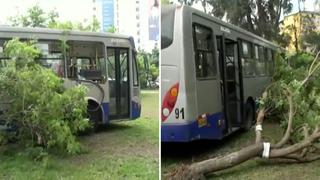 Cercado de Lima: una persona herida tras choque de Corredor Azul contra un árbol