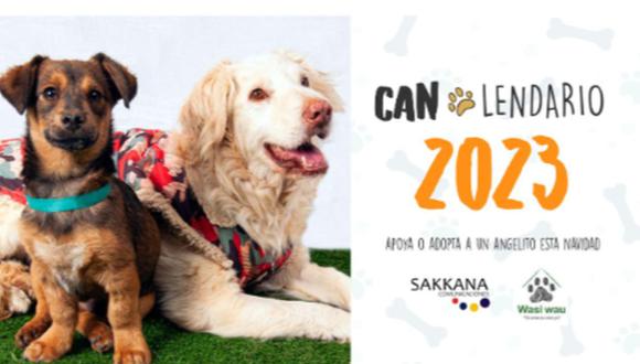 El  ‘CAN LENDARIO 2023’,  un calendario digital gratuito para incentivar la adopción  de  180 canes  que esperan por un hogar.