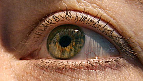 En la Asociación Panamericana de Oftalmología buscan ayudar a los estudiantes de medicina a que tengan un conocimiento base y que puedan tratar emergencias de oftalmología, en caso que no cuenten con la compañía de un oftalmólogo: (Foto: AFP)