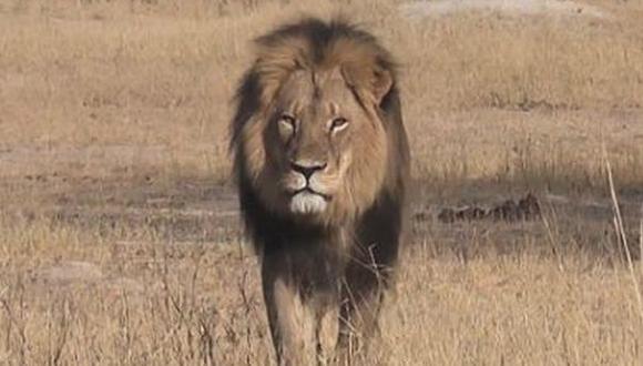 Estados Unidos promulga ley de protección a leones africanos