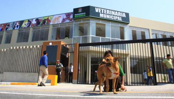 Ventanilla: campaña de esterilización de mascotas a bajo precio