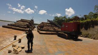Madera ilegal: incautaron 3 millones de pies tablares en Loreto