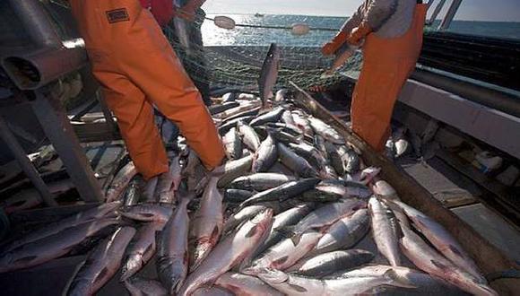 Pesca de consumo humano directo tuvo importante crecimiento. (Foto: El Comercio)