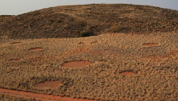 Nueva hipótesis explica los "círculos de las hadas" de Namibia