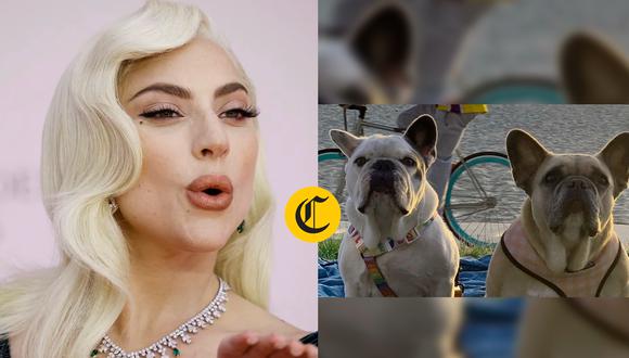 Lady Gaga se libró de pagar la recompensa a la mujer que encontró a sus mascotas y que fue implicada en el secuestro | Foto: Composición EC