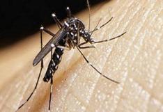 Minsa reportó 33 casos del virus del zika en varios distritos de Ica